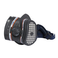 Mask and replaceable filters