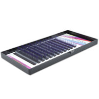 0.07 mm Two tone eyelash extensions Purple-Black